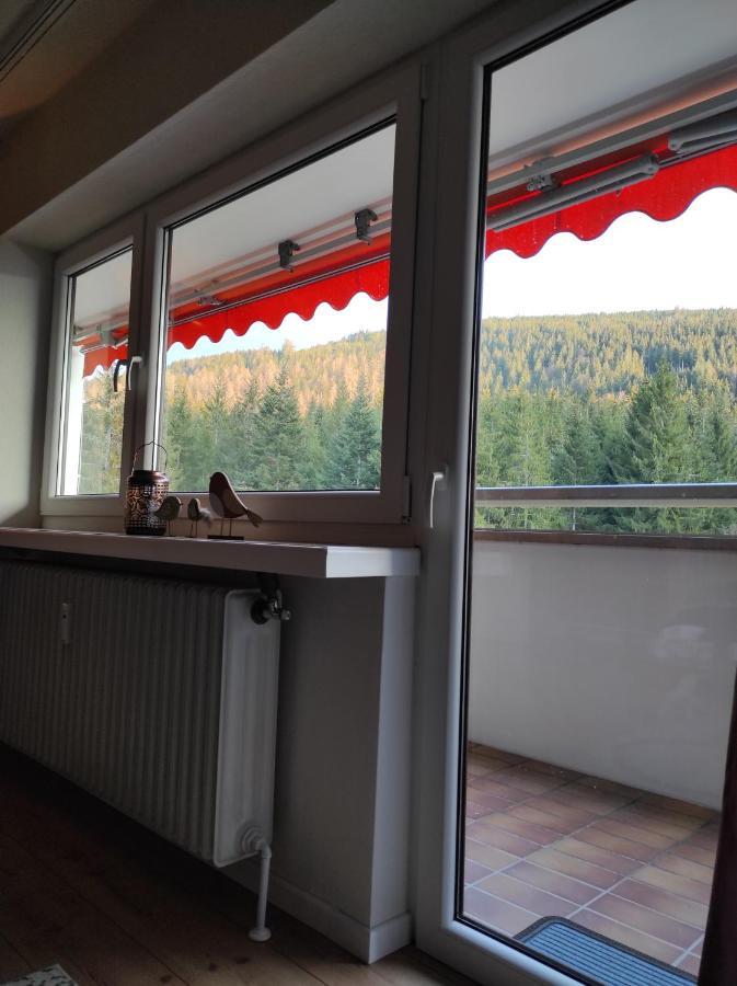 Ferienwohnung Vogelnest Im Schwarzwald 拜尔斯布龙 外观 照片