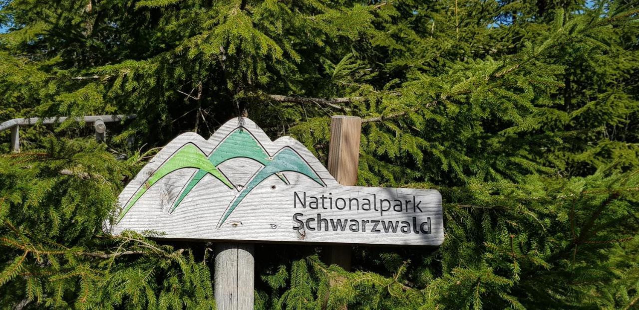 Ferienwohnung Vogelnest Im Schwarzwald 拜尔斯布龙 外观 照片
