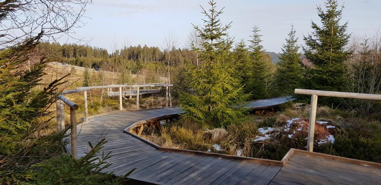 Ferienwohnung Vogelnest Im Schwarzwald 拜尔斯布龙 外观 照片