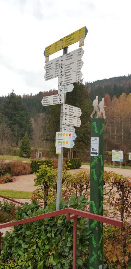 Ferienwohnung Vogelnest Im Schwarzwald 拜尔斯布龙 外观 照片