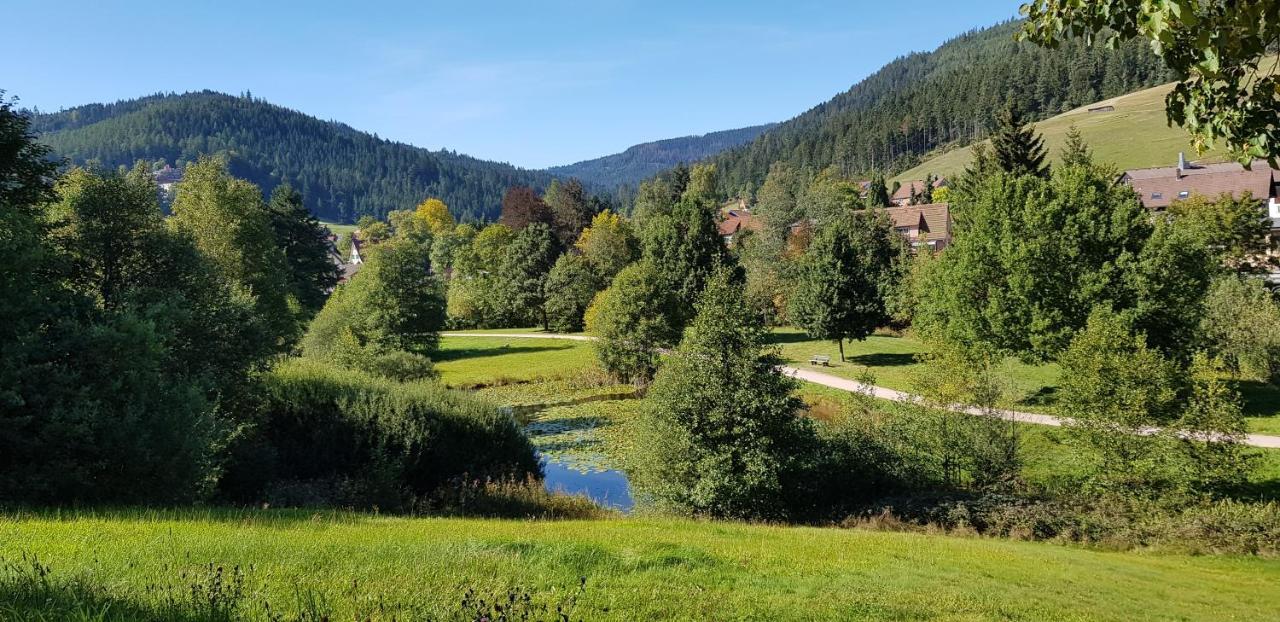 Ferienwohnung Vogelnest Im Schwarzwald 拜尔斯布龙 外观 照片