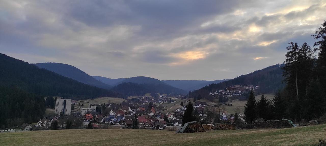 Ferienwohnung Vogelnest Im Schwarzwald 拜尔斯布龙 外观 照片