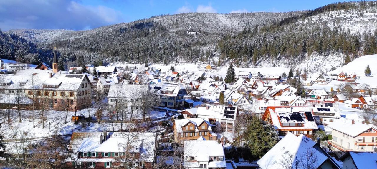 Ferienwohnung Vogelnest Im Schwarzwald 拜尔斯布龙 外观 照片