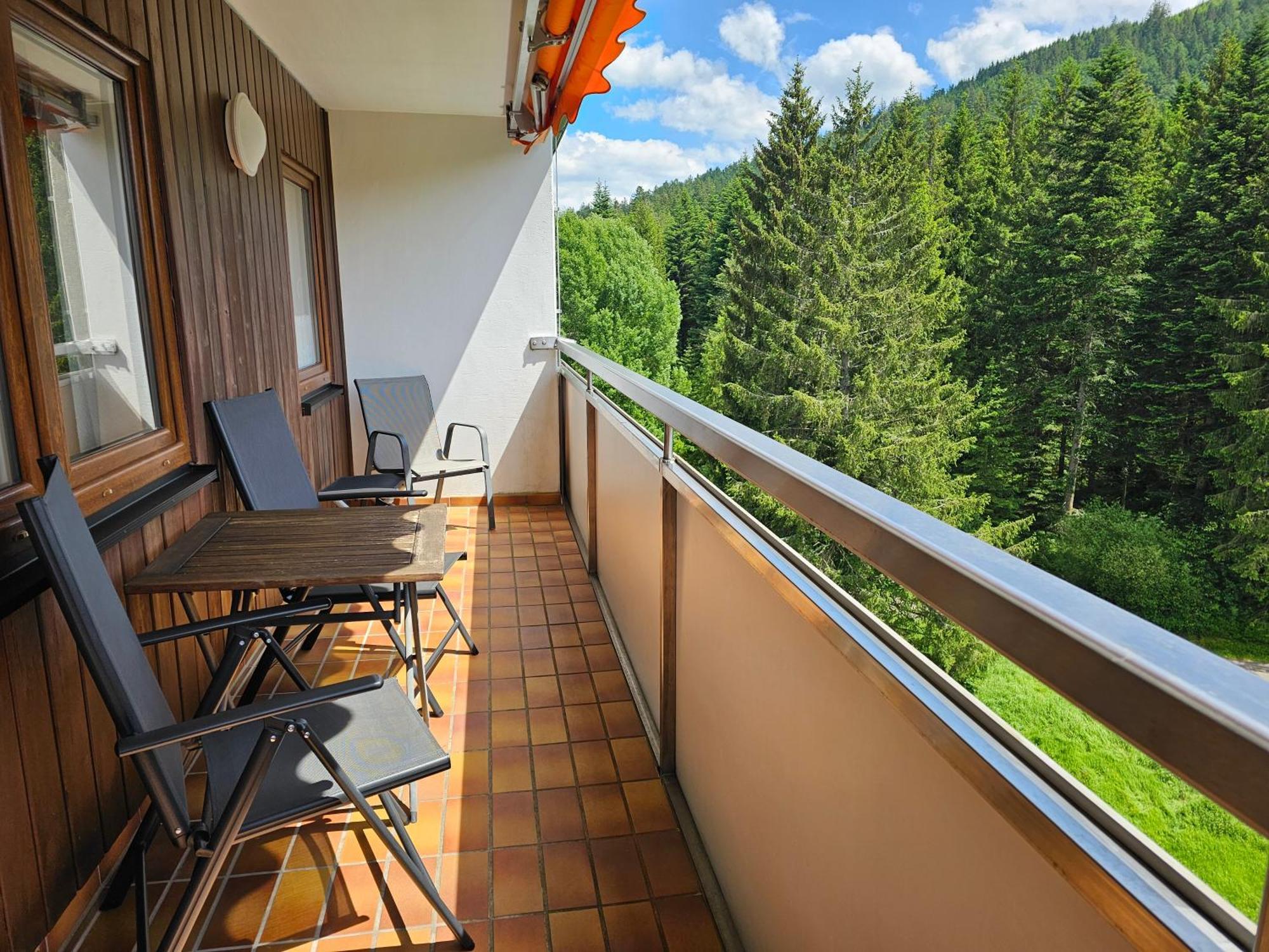 Ferienwohnung Vogelnest Im Schwarzwald 拜尔斯布龙 外观 照片