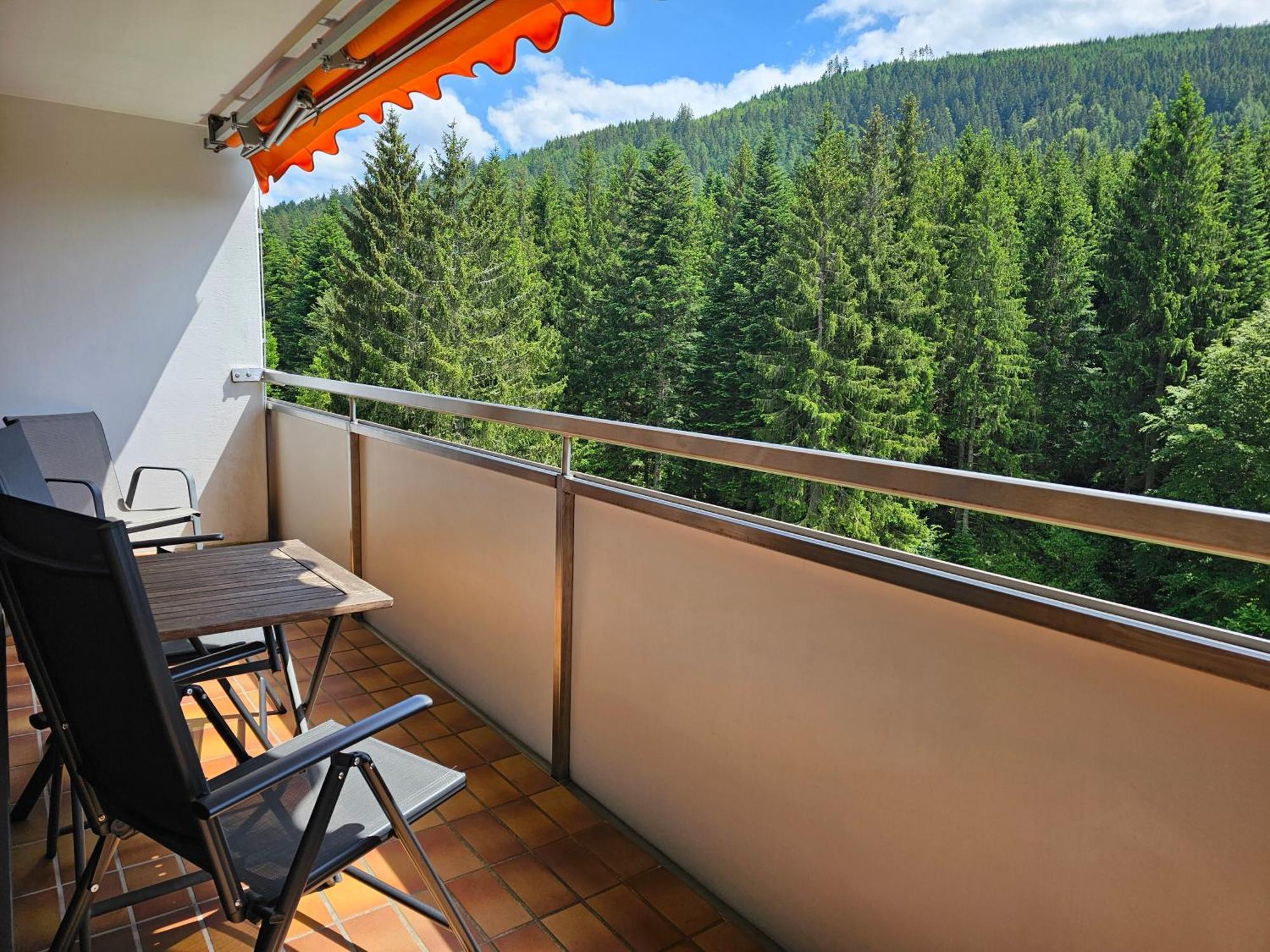 Ferienwohnung Vogelnest Im Schwarzwald 拜尔斯布龙 外观 照片